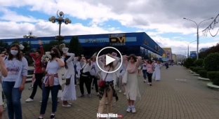 В Белоруссии девушки в белых платьях, заложив руки за голову, призывали силовиков остановить насилие