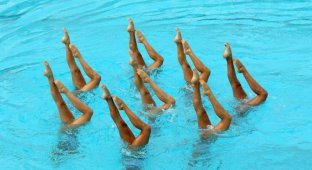 Потрясающий вид спорта: Синхронное плавание (29 фото)