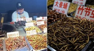В Китае вновь открылся популярный рынок с фаст-фудом из насекомых (7 фото)
