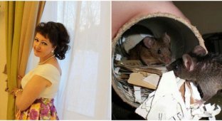 Воспитательницу, показавшую родителям крыс в группе, назвали ябедой и уволили (2 фото)