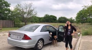 В Техасе поймали с поличным женщину, которая хотела бросить 4-х своих собак (11 фото)