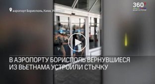 Эвакуированные украинцы с боем покинули аэропорт