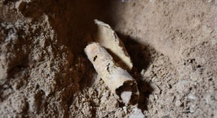 Потрясающее открытие израильских археологов (7 фото)