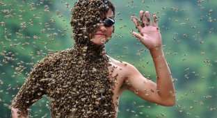Китайца облепили 26 кило пчел (9 фото)