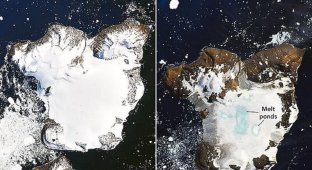 Таяние льда в Антарктике заметили из космоса (3 фото + 1 тянучка)