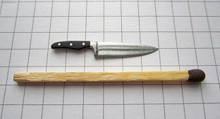 Кухонный нож (21 фото)