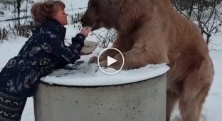 Когда завтракаешь с медведем