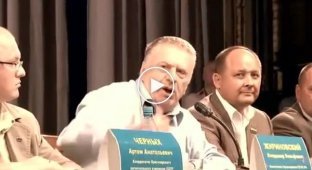 Что такое власть народу в России на словах Жириновского