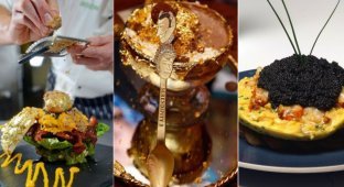 20 самых дорогих блюд в мире из разных стран (21 фото)