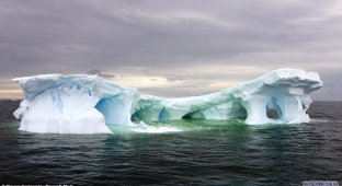 Антарктика (5 фотографий)