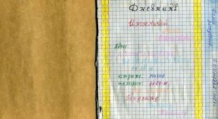 Дневник одной школьницы ... (13 фото + текст)