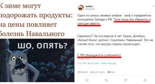 Санкции за ржач над выводами об отравлении Навального: реакция соцсетей (15 фото)