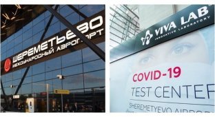 Кручу, верчу, тест сделать хочу: пассажиров Шереметьево тестировала на COVID фирма без лицензии (2 фото)