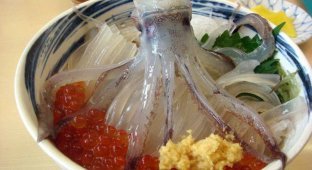 Блюда японской кухни, от которых пропадет аппетит (10 фото)