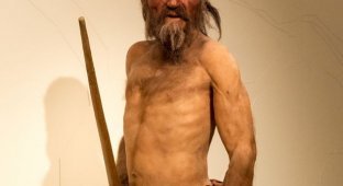 Ученые выяснили, из чего состояла последняя трапеза древнего человека (5 фото)