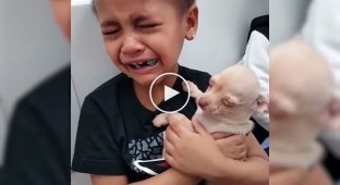Эмоциональный мальчик получил в подарок щенка  