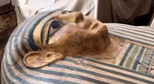 В Египте нашли саркофаг с 2500-летней мумией. Что же внутри? (16 фото + видео)