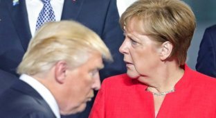 Объявит ли Меркель войну Трампу в Гамбурге