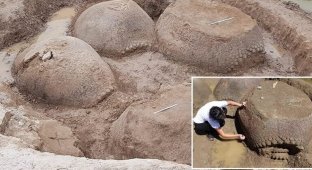 В Аргентине обнаружены панцири доисторических броненосцев размером с машину (10 фото)