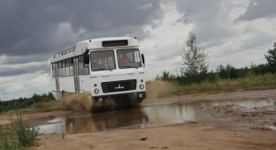 МАЗ создал автобус-внедорожник для «чёрной» Африки (3 фото)