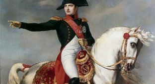 Подборка интересных фактов про Наполеона (4 фото)