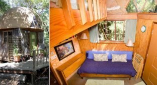 Внутри домика-гриба — самого популярного объекта, сдаваемого в аренду на Airbnb (12 фото)