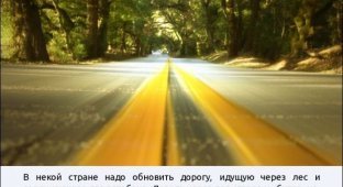 Дорога через лес (1 картинка)