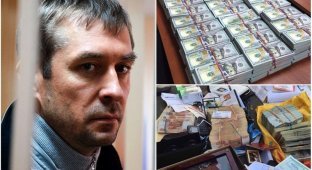 Как интернет отреагировал на найденные у российского полковника 9 миллиардов рублей наличными (28 фото)
