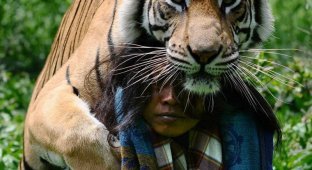 Лучшие друзья - тигр и человек (10 фото)