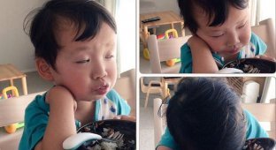 Японцы делятся фотографиями своих детей, заснувших в смешных позах в самых необычных местах (17 фото)