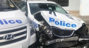 История о сказочном невезении: в Австралии мужчина врезался в полицейское авто на фургоне с полным багажником метамфетамина (3 фото + видео)