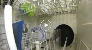 Работа посудомоечной машины изнутри