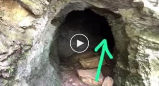 В пещере оказалась совсем не летучая мышь