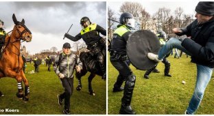 Водометы, собаки и кавалерия: в Нидерландах полиция жестко разогнала акцию протеста (9 фото + 1 видео)