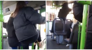 Пьяные школьницы устроили дебош в автобусе (3 фото + 1 видео)