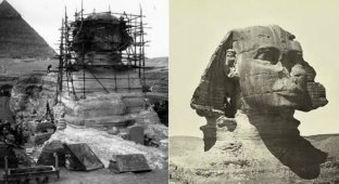 Всё, что вы не знали о Сфинксе: 15 интересных фактов о древнейшем монументе (16 фото)
