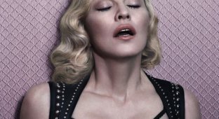 Мадонна снялась в эротической БДСМ фотосессии (18 фото) (эротика)