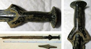 Чешский грибник нашел меч и топор возрастом 3300 лет (2 фото)