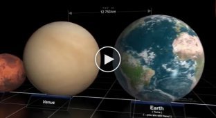 Интересное видео сравнивает размеры всех объектов Вселенной