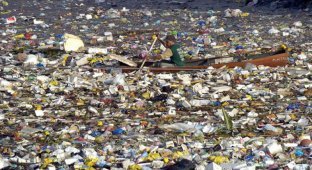 Тихоокеанское мусорное пятно предлагают признать государством (4 фото + 2 видео)