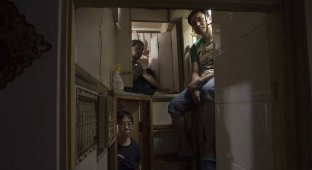 Как живут гонконгцы в своих "квартирах-гробах" (14 фото)