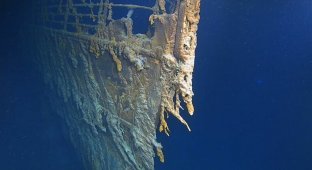 Первая за 14 лет экспедиция к "Титанику" засвидетельствовала стремительное разрушение лайнера (10 фото + 1 видео)