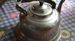 15 идей использования старого советского чайника (22 фото)