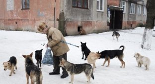 Водка, Донбасс и бродячие собаки. Чем известен британский журналист, раненый в Авдеевке