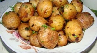 Немного о картошке (11 фото)