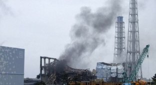 Последствия Фукусимы (3 фото)