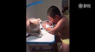 Ласковый кот мешает своему юному другу делать уроки