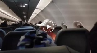 Люди смешным и радикальным способом утихомирили буйного пассажира самолета
