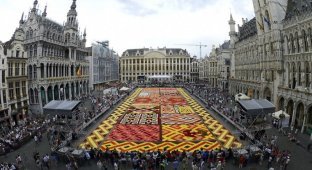 Цветочный ковер в Брюсселе (17 фото)