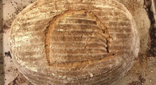 Геймдизайнер испек египетский хлеб из дрожжей 4500-летней давности (15 фото)